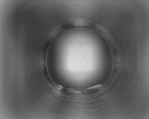 X0000070210422200605261257