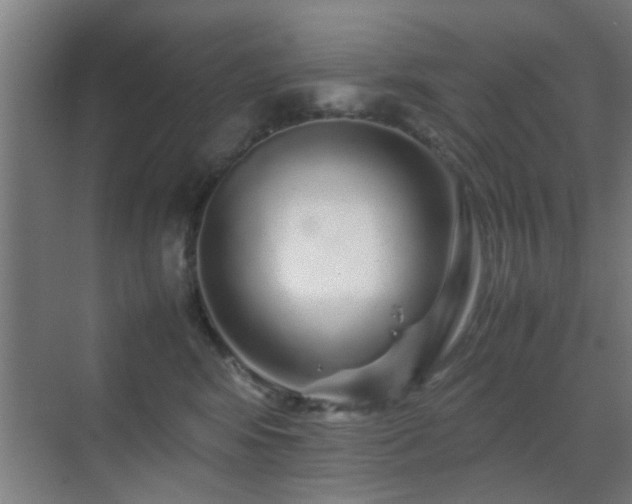 X0000070210424200605261257