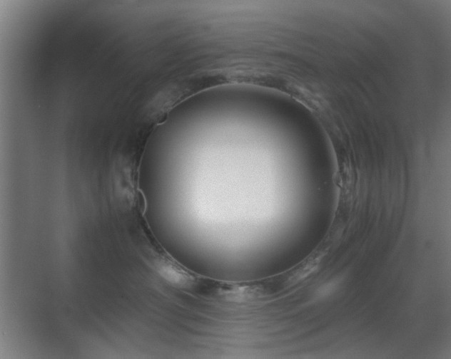 X0000070210430200605261257