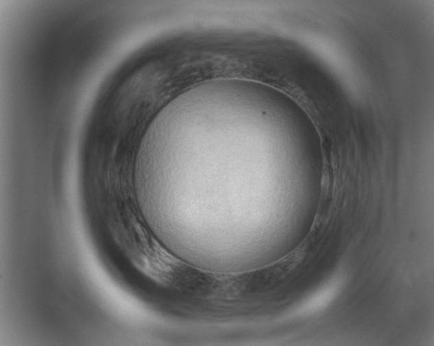 X0000070210431200605261257