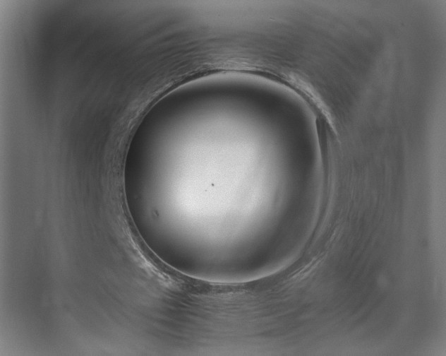 X0000070210433200605261256