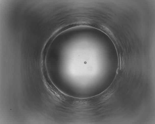 X0000070210435200605261256