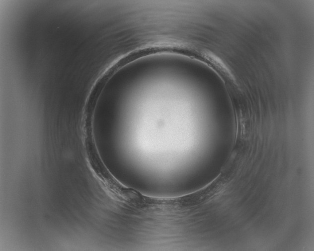 X0000070210436200605261256