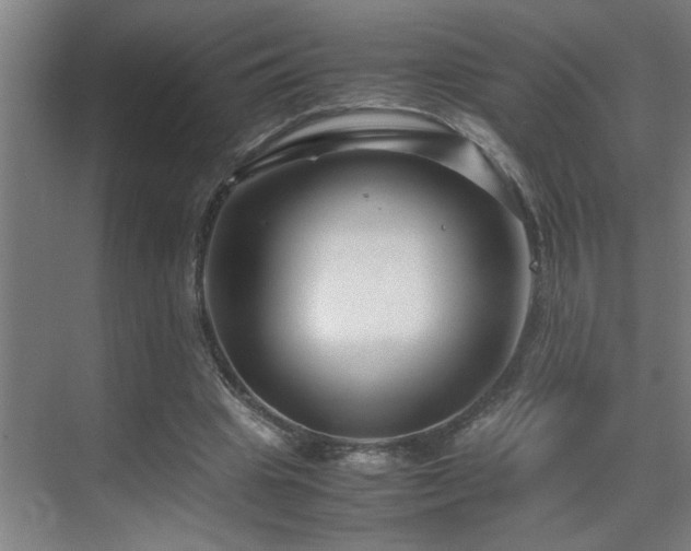 X0000070210441200605261256