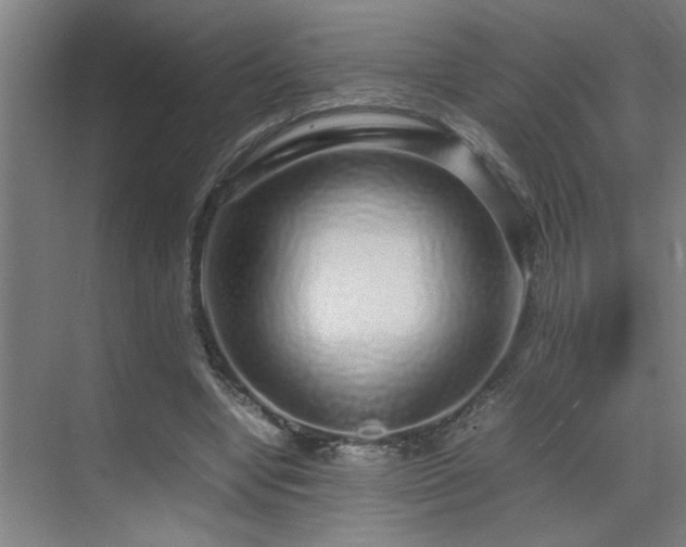 X0000070210442200605261256