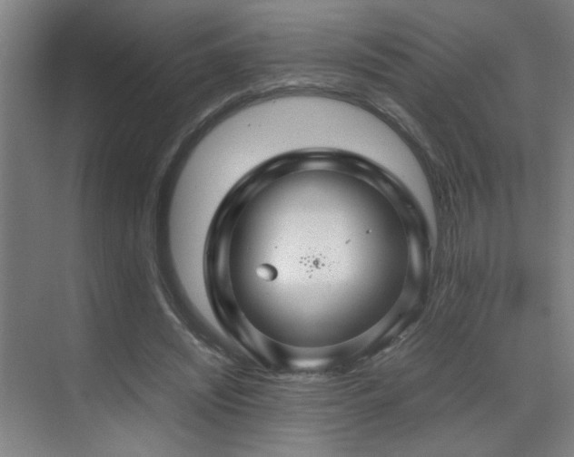 X0000070210444200605261256