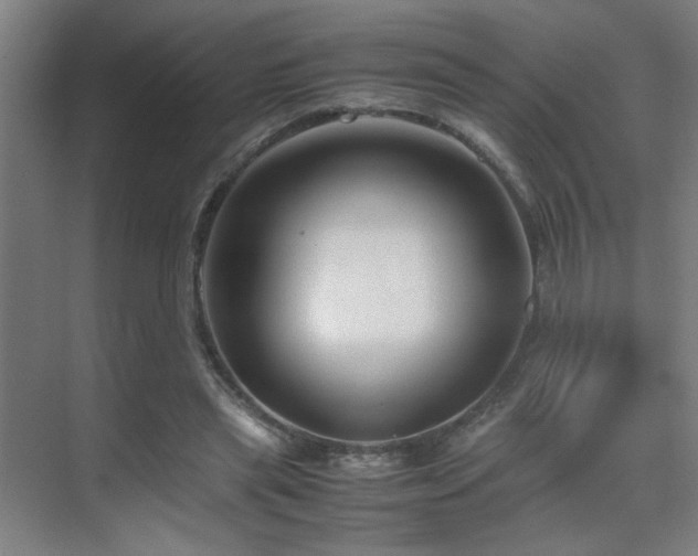 X0000070210445200605261256