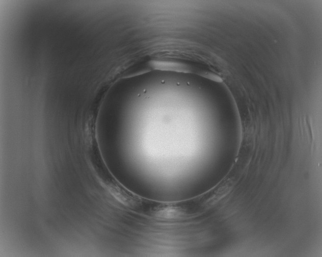 X0000070210460200605261256