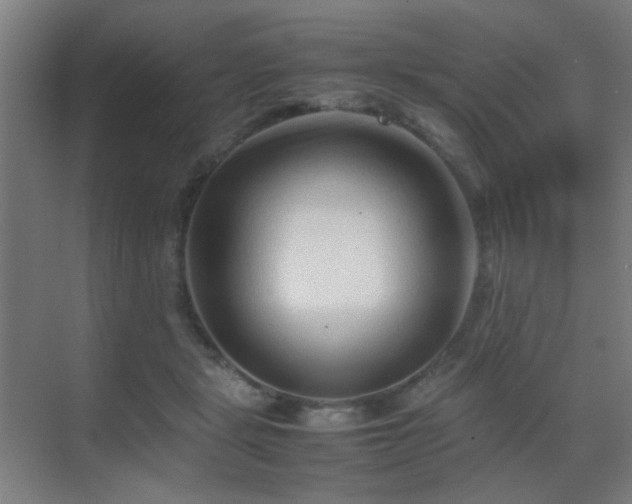 X0000070210461200605261256