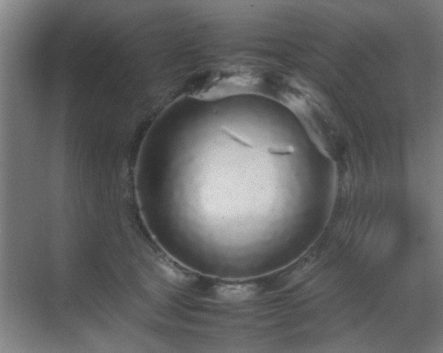 X0000070210465200605261256