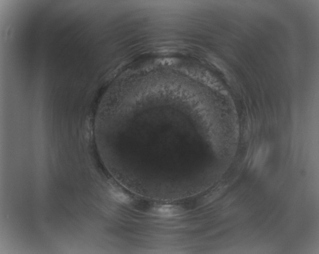 X0000070210467200605261256