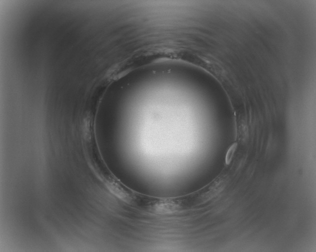 X0000070210468200605261256