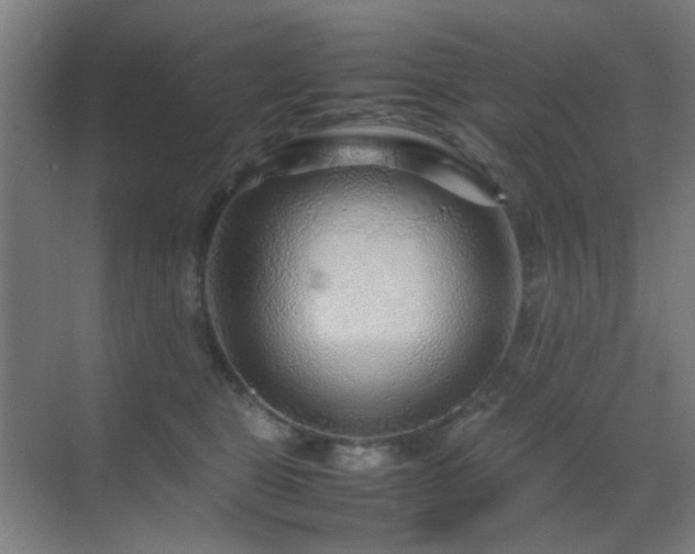 X0000070210469200605261256