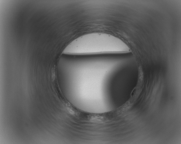 X0000070210471200605261256