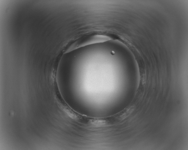 X0000070210476200605261257