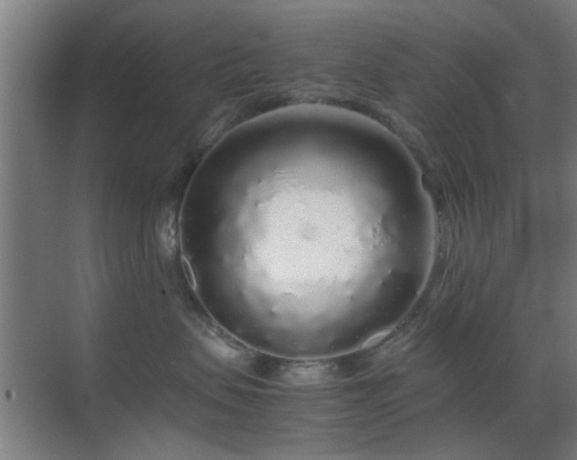 X0000070210479200605261257