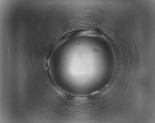 X0000070210480200605261257