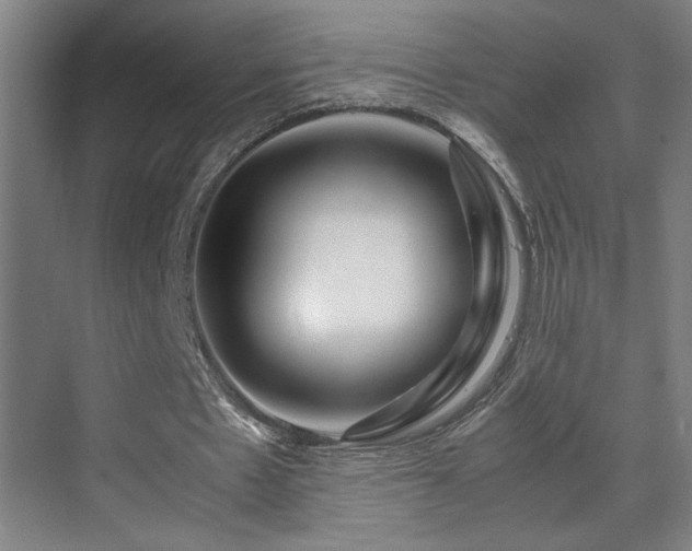 X0000070210481200605261256