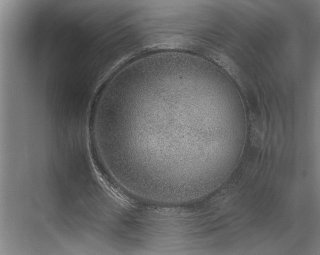 X0000070210482200605261256