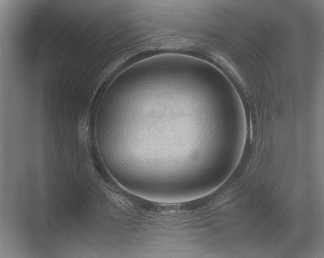 X0000070210483200605261256