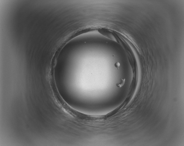 X0000070210485200605261256