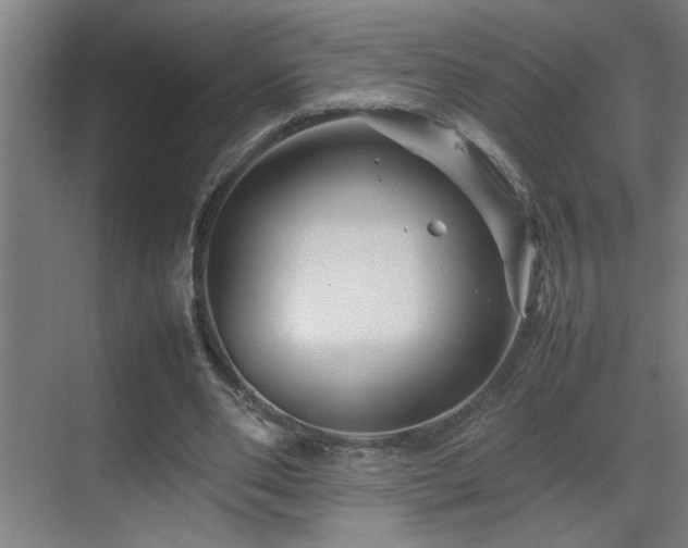 X0000070210486200605261256