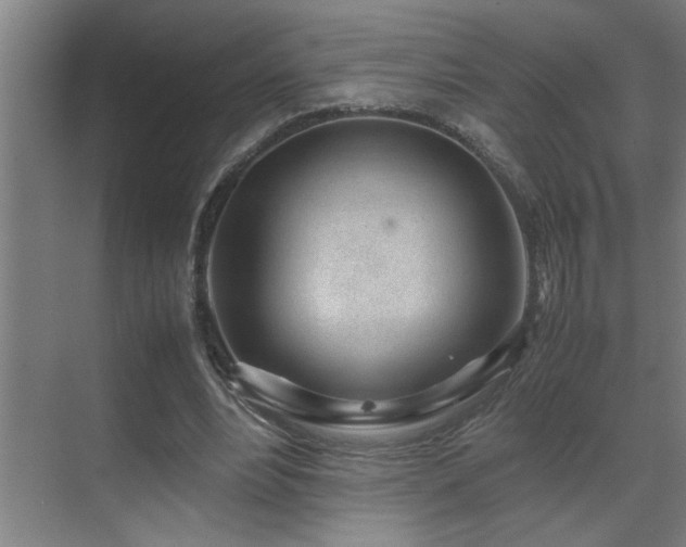 X0000070210488200605261256