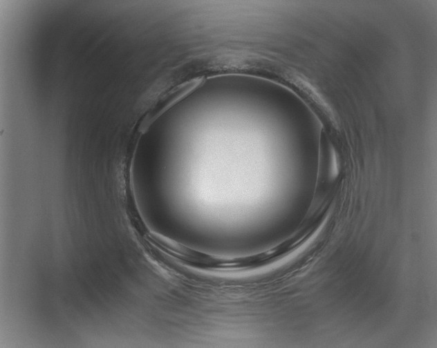 X0000070210489200605261256