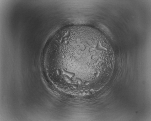 X0000070210491200605261256