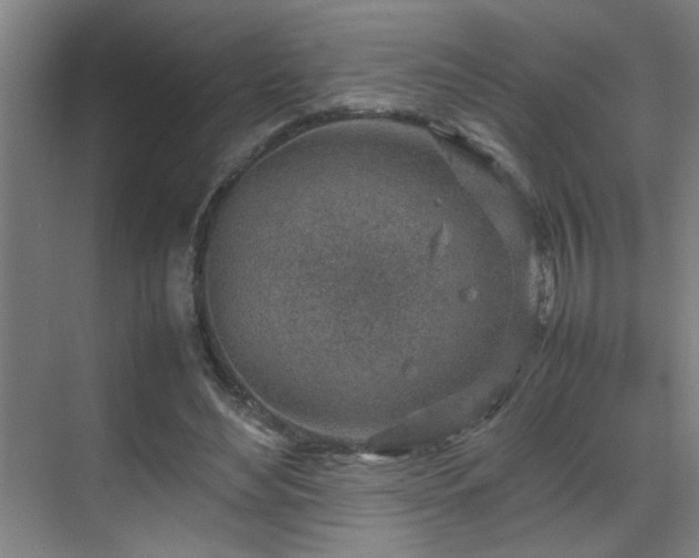 X0000070210492200605261256