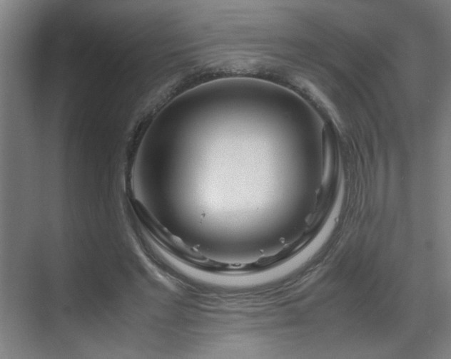 X0000070210493200605261256