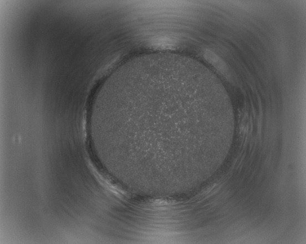 X0000070210494200605261256