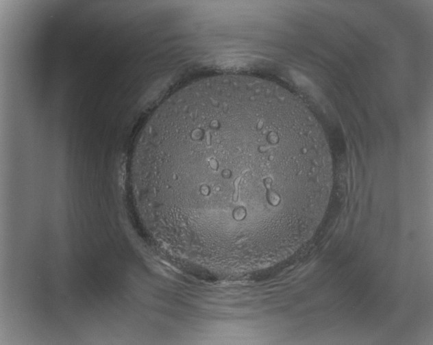 X0000070210495200605261256