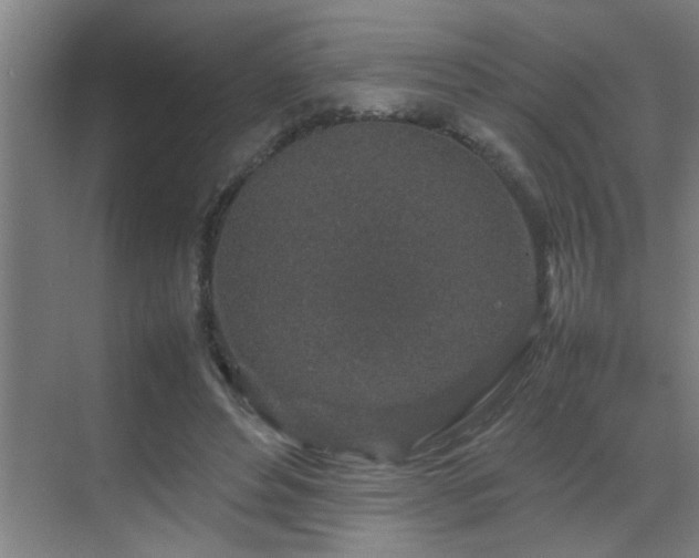 X0000070210496200605261256