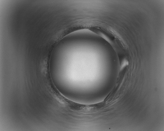 X0000070210497200605261256