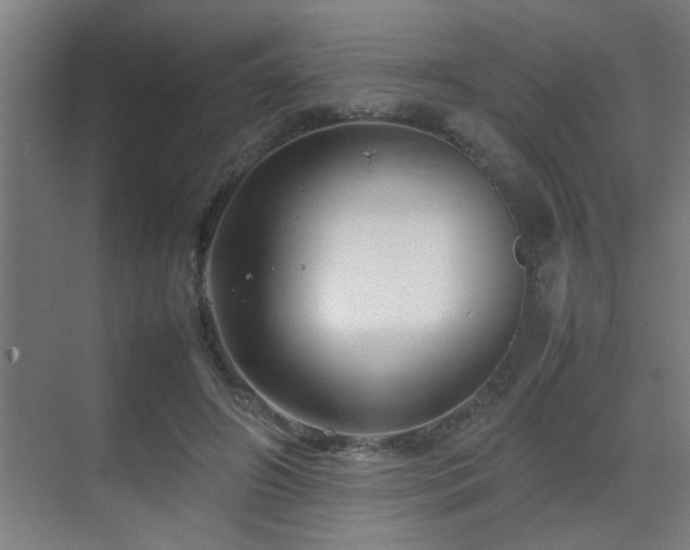 X0000070210498200605261256