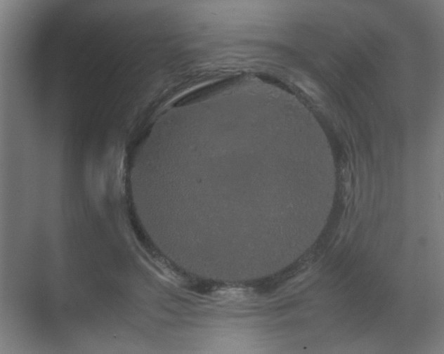 X0000070210499200605261256