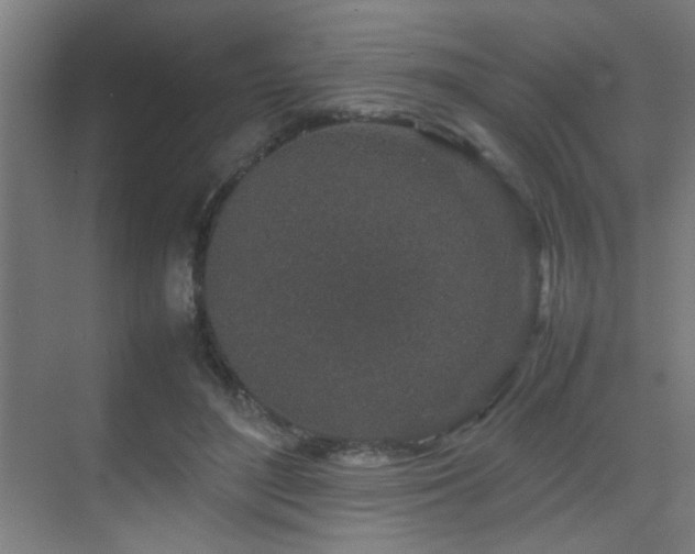 X0000070210500200605261256