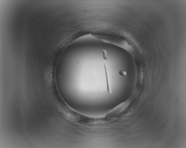 X0000070210501200605261255