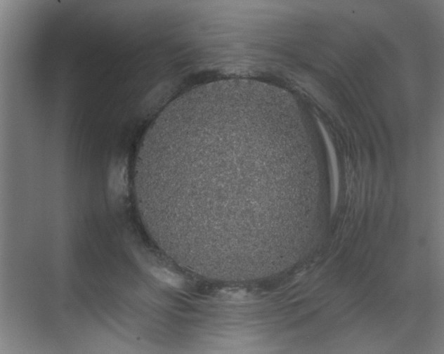 X0000070210502200605261255