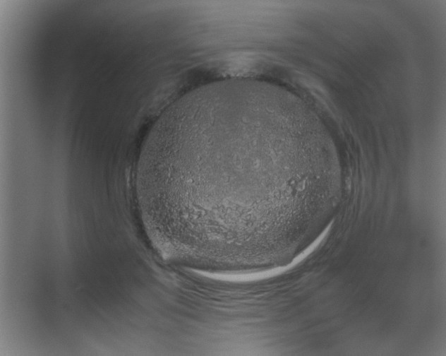 X0000070210503200605261255