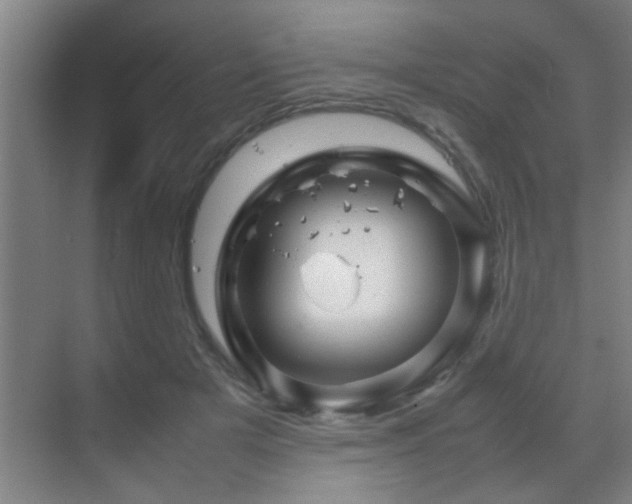 X0000070210505200605261255