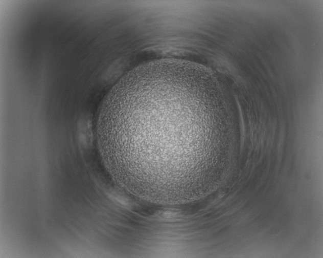 X0000070210506200605261255