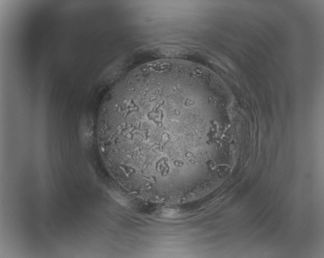 X0000070210507200605261255