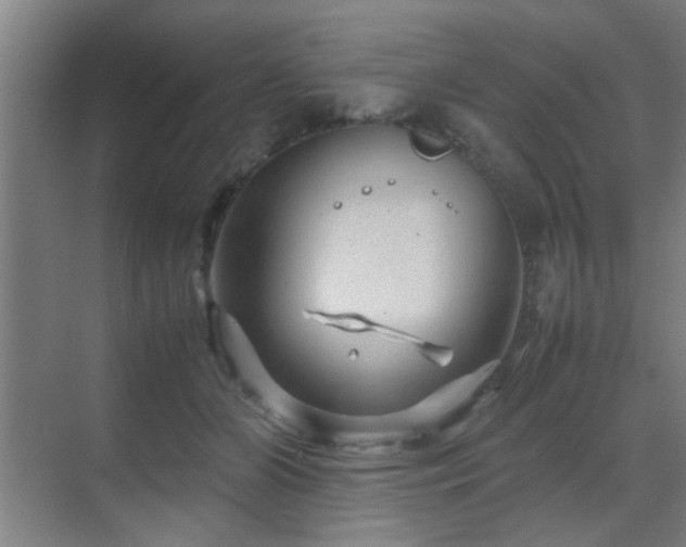 X0000070210510200605261255