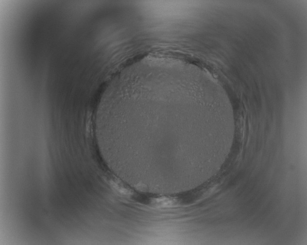 X0000070210511200605261255