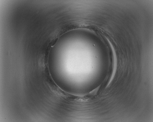 X0000070210512200605261255