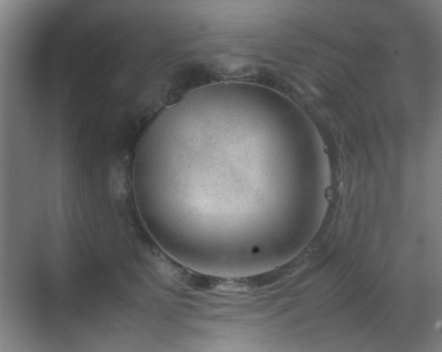 X0000070210515200605261255