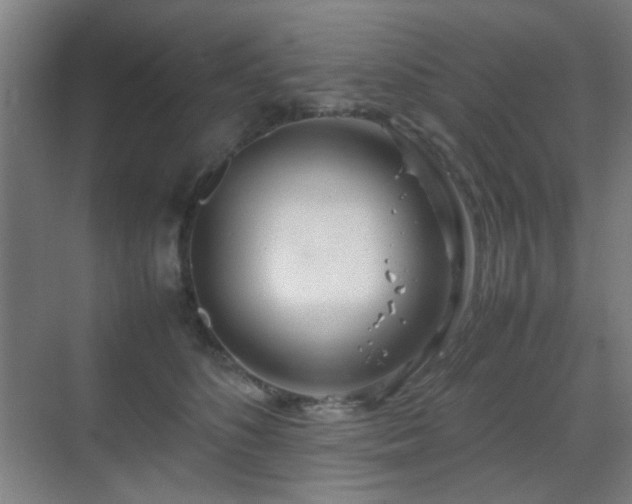 X0000070210516200605261255