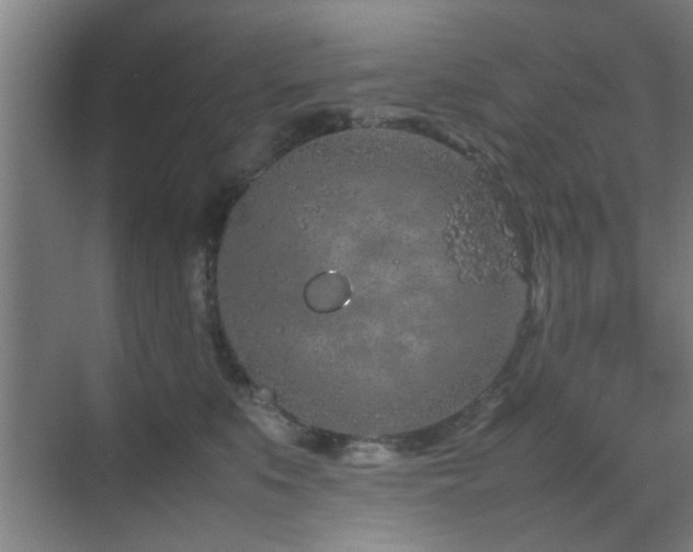 X0000070210519200605261255